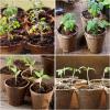 image:imagehomenote Peat Pots 120 Pcs 315 Inch Seed Starting Pots with Drainage Holes Round Nursery Plants Pots with Bonus 20 Plant Labels60