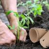 image:imagehomenote Peat Pots 120 Pcs 315 Inch Seed Starting Pots with Drainage Holes Round Nursery Plants Pots with Bonus 20 Plant Labels60