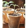 image:imagehomenote Peat Pots 120 Pcs 315 Inch Seed Starting Pots with Drainage Holes Round Nursery Plants Pots with Bonus 20 Plant Labels60