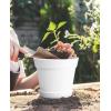 image:imagehomenote Pots for Plants 15 Pack 6 Inch Plastic Planters with Multiple Drainage Holes and TraysPlant Pots for All Home Garden Flowers Succulents WhiteWhite8 Pcs