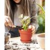 image:imagehomenote Pots for Plants 15 Pack 6 Inch Plastic Planters with Multiple Drainage Holes and TraysPlant Pots for All Home Garden Flowers Succulents WhiteTerra Cotta8 Pcs