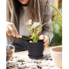 image:imagehomenote Pots for Plants 15 Pack 6 Inch Plastic Planters with Multiple Drainage Holes and TraysPlant Pots for All Home Garden Flowers Succulents WhiteBlack10 Pcs