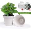 image:imagehomenote Pots for Plants 15 Pack 6 Inch Plastic Planters with Multiple Drainage Holes and TraysPlant Pots for All Home Garden Flowers Succulents WhiteWhite15 Pcs