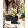 image:imagehomenote Pots for Plants 15 Pack 6 Inch Plastic Planters with Multiple Drainage Holes and TraysPlant Pots for All Home Garden Flowers Succulents WhiteBlack8 Pcs