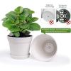 image:imagehomenote Pots for Plants 15 Pack 6 Inch Plastic Planters with Multiple Drainage Holes and TraysPlant Pots for All Home Garden Flowers Succulents WhiteWhite  Terra Cotta16 Pcs