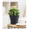 image:imagehomenote Pots for Plants 15 Pack 6 Inch Plastic Planters with Multiple Drainage Holes and TraysPlant Pots for All Home Garden Flowers Succulents WhiteBlack15 Pcs