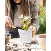 image:imagehomenote Pots for Plants 15 Pack 6 Inch Plastic Planters with Multiple Drainage Holes and TraysPlant Pots for All Home Garden Flowers Succulents WhiteWhite8 Pcs
