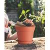 image:imagehomenote Pots for Plants 15 Pack 6 Inch Plastic Planters with Multiple Drainage Holes and TraysPlant Pots for All Home Garden Flowers Succulents WhiteTerra Cotta8 Pcs