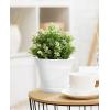 image:imagehomenote Pots for Plants 15 Pack 6 Inch Plastic Planters with Multiple Drainage Holes and TraysPlant Pots for All Home Garden Flowers Succulents WhiteWhite8 Pcs