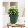 image:imagehomenote Pots for Plants 15 Pack 6 Inch Plastic Planters with Multiple Drainage Holes and TraysPlant Pots for All Home Garden Flowers Succulents WhiteGreen15 Pcs