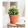 image:imagehomenote Pots for Plants 15 Pack 6 Inch Plastic Planters with Multiple Drainage Holes and TraysPlant Pots for All Home Garden Flowers Succulents WhiteTerra Cotta8 Pcs