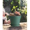 image:imagehomenote Pots for Plants 15 Pack 6 Inch Plastic Planters with Multiple Drainage Holes and TraysPlant Pots for All Home Garden Flowers Succulents WhiteGreen15 Pcs