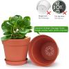 image:imagehomenote Pots for Plants 15 Pack 6 Inch Plastic Planters with Multiple Drainage Holes and TraysPlant Pots for All Home Garden Flowers Succulents WhiteTerra Cotta15 Pcs