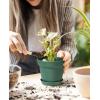 image:imagehomenote Pots for Plants 15 Pack 6 Inch Plastic Planters with Multiple Drainage Holes and TraysPlant Pots for All Home Garden Flowers Succulents WhiteGreen8 Pcs