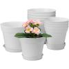 White-10 Pcs