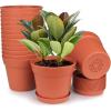 Terra Cotta-15 Pcs
