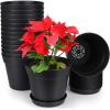 image:imagehomenote Pots for Plants 15 Pack 6 Inch Plastic Planters with Multiple Drainage Holes and TraysPlant Pots for All Home Garden Flowers Succulents WhiteBlack15 Pcs