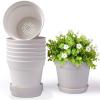 White-8 Pcs