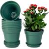 Green-8 Pcs