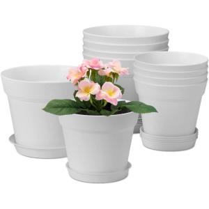 image:imagehomenote Pots for Plants 15 Pack 6 Inch Plastic Planters with Multiple Drainage Holes and TraysPlant Pots for All Home Garden Flowers Succulents WhiteWhite10 Pcs