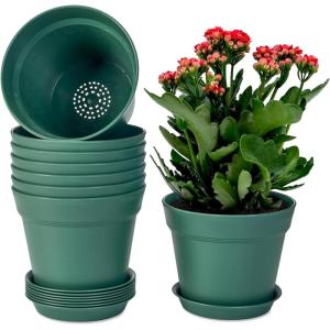image:imagehomenote Pots for Plants 15 Pack 6 Inch Plastic Planters with Multiple Drainage Holes and TraysPlant Pots for All Home Garden Flowers Succulents WhiteGreen8 Pcs
