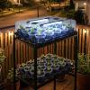 image:imagehomenote 4 Inch Seed Starting Trays with Clear Nursery Pots 2Pack 20Cell Seedling Starter Trays amp 4 Nursery Pots 40 Pcs with Drainage Plant Starter Germination Trays for Indoor Outdoor Growing3 Inch