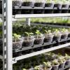 image:imagehomenote 4 Inch Seed Starting Trays with Clear Nursery Pots 2Pack 20Cell Seedling Starter Trays amp 4 Nursery Pots 40 Pcs with Drainage Plant Starter Germination Trays for Indoor Outdoor Growing3 Inch