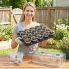 image:imagehomenote 4 Inch Seed Starting Trays with Clear Nursery Pots 2Pack 20Cell Seedling Starter Trays amp 4 Nursery Pots 40 Pcs with Drainage Plant Starter Germination Trays for Indoor Outdoor Growing3 Inch