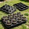 image:imagehomenote 4 Inch Seed Starting Trays with Clear Nursery Pots 2Pack 20Cell Seedling Starter Trays amp 4 Nursery Pots 40 Pcs with Drainage Plant Starter Germination Trays for Indoor Outdoor Growing4 Inch