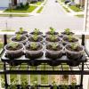 image:imagehomenote 4 Inch Seed Starting Trays with Clear Nursery Pots 2Pack 20Cell Seedling Starter Trays amp 4 Nursery Pots 40 Pcs with Drainage Plant Starter Germination Trays for Indoor Outdoor Growing4 Inch