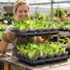 image:imagehomenote 4 Inch Seed Starting Trays with Clear Nursery Pots 2Pack 20Cell Seedling Starter Trays amp 4 Nursery Pots 40 Pcs with Drainage Plant Starter Germination Trays for Indoor Outdoor Growing3 Inch