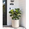 image:imagehomenote Flower Pots 13210585 InchLarge Plant Pots Indoor with DrainagePlastic Pots for PlantsGarden Pots for OutdoorLarge Planters for Indoor PlantsBig Plastic PlanterWhite3 PcsStyle 51 Pcs