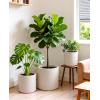 image:imagehomenote Flower Pots 13210585 InchLarge Plant Pots Indoor with DrainagePlastic Pots for PlantsGarden Pots for OutdoorLarge Planters for Indoor PlantsBig Plastic PlanterWhite3 PcsStyle 23 Pcs