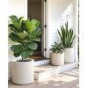 image:imagehomenote Flower Pots 13210585 InchLarge Plant Pots Indoor with DrainagePlastic Pots for PlantsGarden Pots for OutdoorLarge Planters for Indoor PlantsBig Plastic PlanterWhite3 PcsStyle 23 Pcs