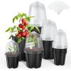 image:imagehomenote Nursery Pots 30 Pack345 Inch Plant Pot for Planting Clear Nursery Pots for PlantPlastic Seedling with Drainage Holes Seed Starter Flower High Transparency 20 Labels Excellent HardnessBlackwith Lid