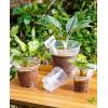 image:imagehomenote Nursery Pots 30 Pack345 Inch Plant Pot for Planting Clear Nursery Pots for PlantPlastic Seedling with Drainage Holes Seed Starter Flower High Transparency 20 Labels Excellent HardnessClear