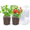 image:imagehomenote Nursery Pots 30 Pack345 Inch Plant Pot for Planting Clear Nursery Pots for PlantPlastic Seedling with Drainage Holes Seed Starter Flower High Transparency 20 Labels Excellent HardnessTransparencyno Lid