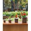 image:imagehomenote Nursery Pots 30 Pack345 Inch Plant Pot for Planting Clear Nursery Pots for PlantPlastic Seedling with Drainage Holes Seed Starter Flower High Transparency 20 Labels Excellent HardnessTransparencyno Lid