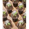 image:imagehomenote Nursery Pots 30 Pack345 Inch Plant Pot for Planting Clear Nursery Pots for PlantPlastic Seedling with Drainage Holes Seed Starter Flower High Transparency 20 Labels Excellent HardnessBlackwith Lid