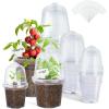 image:imagehomenote Nursery Pots 30 Pack345 Inch Plant Pot for Planting Clear Nursery Pots for PlantPlastic Seedling with Drainage Holes Seed Starter Flower High Transparency 20 Labels Excellent HardnessTransparencywith Lid