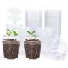 image:imagehomenote Nursery Pots 30 Pack345 Inch Plant Pot for Planting Clear Nursery Pots for PlantPlastic Seedling with Drainage Holes Seed Starter Flower High Transparency 20 Labels Excellent HardnessClear