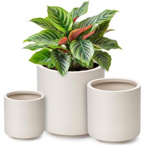 image:imagehomenote Flower Pots 13210585 InchLarge Plant Pots Indoor with DrainagePlastic Pots for PlantsGarden Pots for OutdoorLarge Planters for Indoor PlantsBig Plastic PlanterWhite3 PcsStyle 23 Pcs