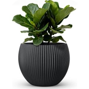 image:imagehomenote Flower Pots 145 InchLarge Plant Pots Indoor with DrainagePlastic Pots for PlantsGarden Pots for OutdoorLarge Planters for Indoor PlantsBig Plastic PlanterBlackStyle 81 Pcs