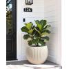 image:imagehomenote Flower Pots 1311510 InchLarge Plant Pots Indoor with DrainagePlastic Pots for PlantsGarden Pots for OutdoorLarge Planters for Indoor PlantsBig Plastic PlanterWhite3 PcsStyle 71 Pcs