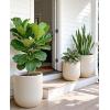 image:imagehomenote Flower Pots 1311510 InchLarge Plant Pots Indoor with DrainagePlastic Pots for PlantsGarden Pots for OutdoorLarge Planters for Indoor PlantsBig Plastic PlanterWhite3 PcsStyle 13 Pcs