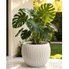 image:imagehomenote Flower Pots 1311510 InchLarge Plant Pots Indoor with DrainagePlastic Pots for PlantsGarden Pots for OutdoorLarge Planters for Indoor PlantsBig Plastic PlanterWhite3 PcsStyle 71 Pcs