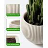 image:imagehomenote Flower Pots 1311510 InchLarge Plant Pots Indoor with DrainagePlastic Pots for PlantsGarden Pots for OutdoorLarge Planters for Indoor PlantsBig Plastic PlanterWhite3 PcsStyle 71 Pcs