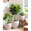 image:imagehomenote Flower Pots 1311510 InchLarge Plant Pots Indoor with DrainagePlastic Pots for PlantsGarden Pots for OutdoorLarge Planters for Indoor PlantsBig Plastic PlanterWhite3 PcsStyle 33 Pcs
