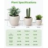 image:imagehomenote Flower Pots 1451296 InchLarge Plant Pots Indoor with DrainagePlastic Pots for PlantsGarden Pots for OutdoorLarge Planters for Indoor PlantsBig Plastic PlanterOffWhite3 PcsStyle 33 Pcs