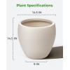 image:imagehomenote Flower Pots 1451296 InchLarge Plant Pots Indoor with DrainagePlastic Pots for PlantsGarden Pots for OutdoorLarge Planters for Indoor PlantsBig Plastic PlanterOffWhite3 PcsStyle 61 Pcs